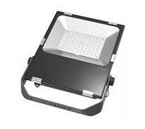 LED Flood Light